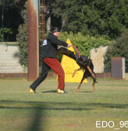 Eto’o DcP 3′ Classificato Campionato Sociale di Addestramento IGP3