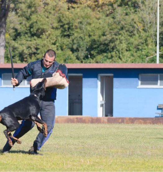 Eto’o DcP 3′ Classificato Campionato Sociale di Addestramento IGP3