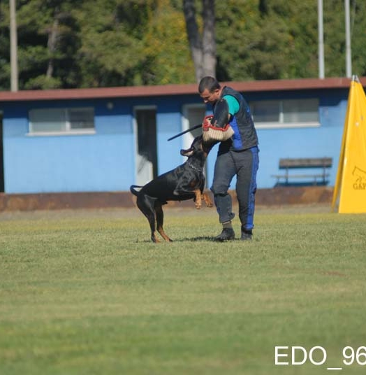 Eto’o DcP 3′ Classificato Campionato Sociale di Addestramento IGP3