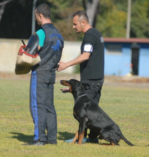 Eto’o DcP 3′ Classificato Campionato Sociale di Addestramento IGP3