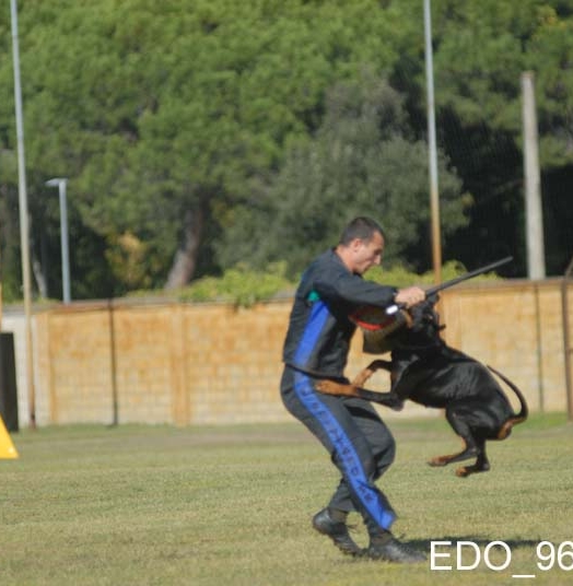 Eto’o DcP 3′ Classificato Campionato Sociale di Addestramento IGP3